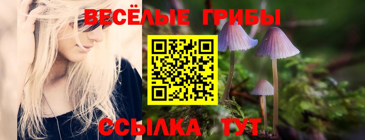 Галлюциногенные грибы ЛСД Павлово