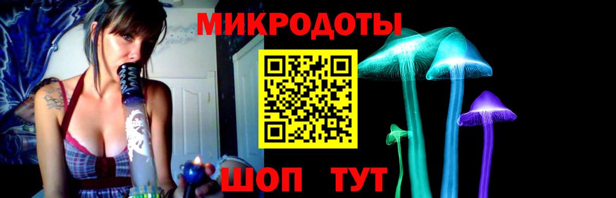 Псилоцибиновые грибы Cubensis  Псилоцибиновые грибы Psilocybine cubensis  Павлово  Вход с VPN 